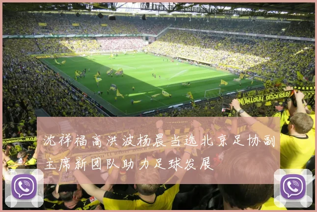 沈祥福高洪波杨晨当选北京足协副主席新团队助力足球发展